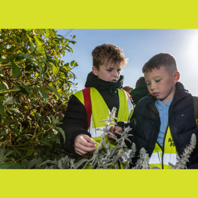 Two boys studying a plant outdoors